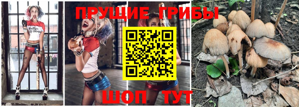 Псилоцибиновые грибы Psilocybe  Вход с VPN  наркота  Псилоцибиновые грибы Psilocybe  Добрянка 