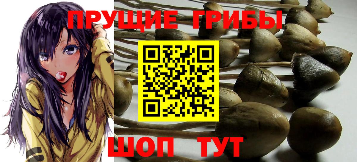Псилоцибиновые грибы Magic Shrooms Добрянка